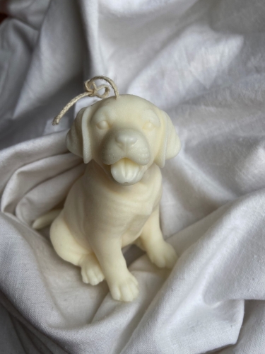 Labrador Puppy.jpg