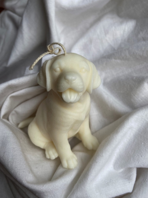 Labrador Puppy.jpg