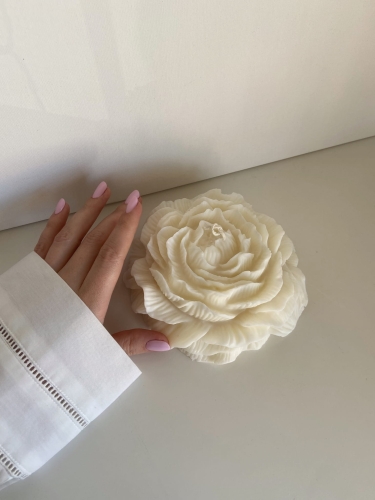 Peony Large.jpg
