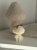 tempImageuR5PyY.jpg