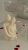 tempImageEWPEDb.jpg