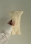 tempImageSxFpp6.jpg