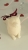 tempImagezjEEc2.jpg
