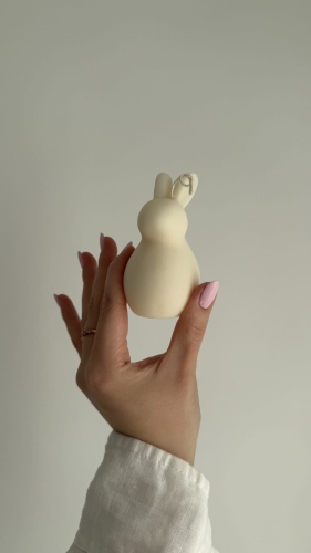 Basic Bunny