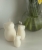 bunny family