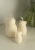 Bunny family