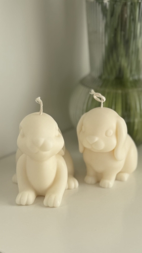 sweet bunnies