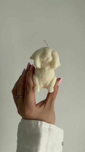 Secret Shy Bunny