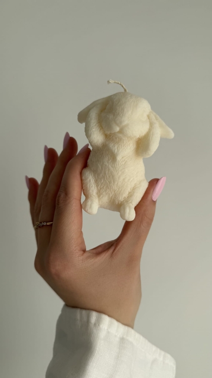 Soft Whisper Bunny